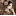 AI风月